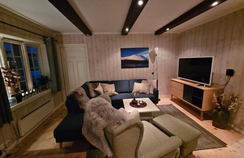 Atra Apartment | Leilighet Gaustablikk