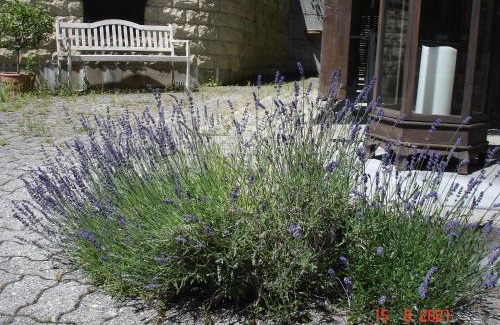 Thorishaus Bed & Breakfast | Leimernhof
