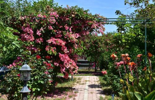 Cirali Bed & Breakfast | Lemon Garden Lodge