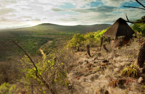 Jozini Cabin | Leopard Mountain Safari Lodge