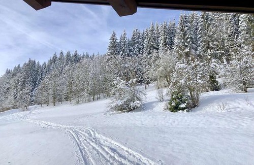 Morzine Apartment | Les Césaries A4