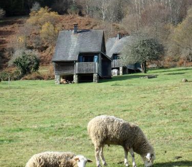 Osse-en-Aspe Ski Chalet | Les chalets de la forêt d'Issaux