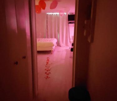 Downtown Angers Apartment | les delices rooms-loveroom white
