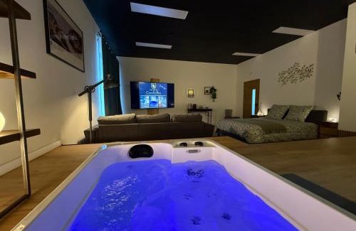Teloche Bed & Breakfast | Les lofts du Château de Posset