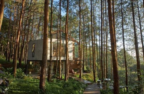 Da Lat Cabin | Les Rêveurs Dalat