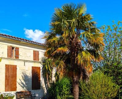 Saint-Fort-sur-Gironde House | Les Roses Tremieres