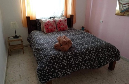 Arad Apartment | LeSaNel Guest House 1