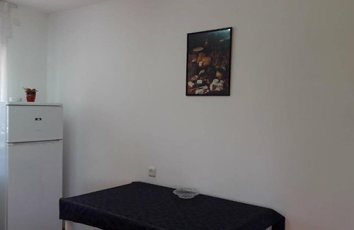 Arad Apartment | LeSaNel Guest House 1