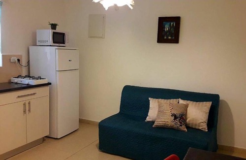 Arad Apartment | LeSaNel Guest House 2