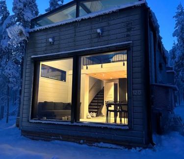 Sirkka Villa | Levi Aurora Sky
