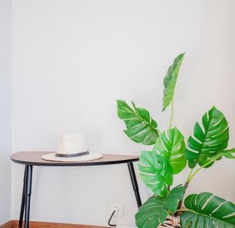 Aldoar Foz do Douro e Nevogilde Apartment | Liiiving in Porto | Sea & River View
