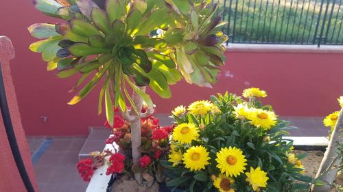 Gela Bed & Breakfast | Lilium In B&B
