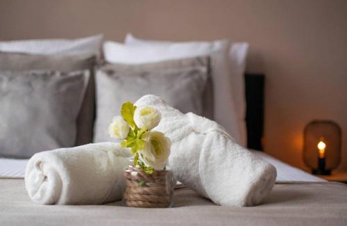 Lille Apartment | Lille hyper- centre, studio cosy entre 2 gares