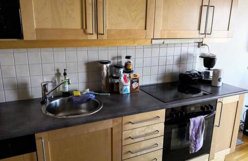 Lillestrom Apartment | Lillestrøm Central City Apartment Fully Furnished