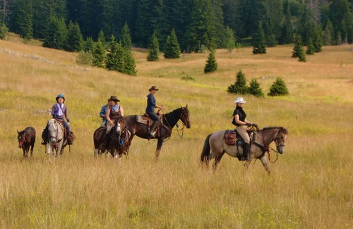Velika Plana Apartment | Linden Tree Retreat & Ranch