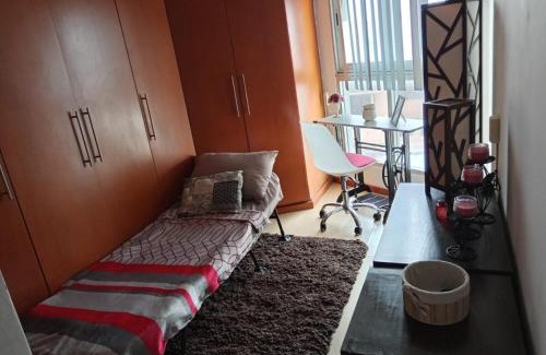 Veracruz Apartment | Lindo Depto estilo vintage a una cuadra del bulevar 3er piso