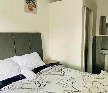 Ekurhuleni House | Linies guest house