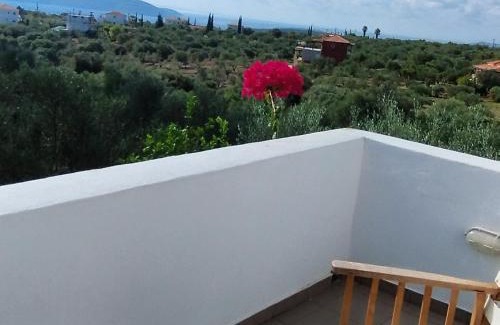 Pylos-Nestoras Villa | LIOFYTO - Stylish villa with views to Foinikounda bay