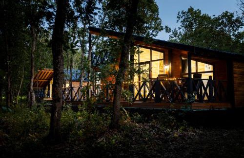 Burgas Villa | Lion's Forest