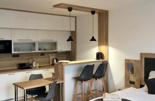 Lipno nad Vltavou Apartment | Lipno Beach Apartment