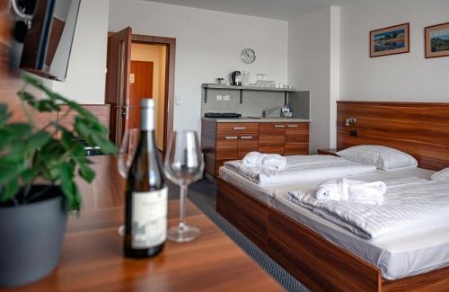 Frymburk Apartment | Lipno Wellness - Frymburk C 301