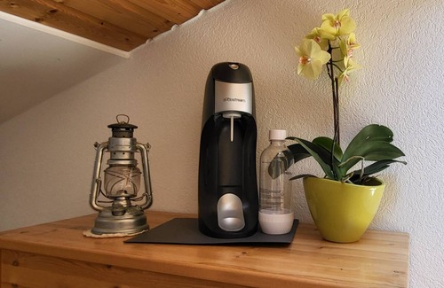 Fiesch Apartment | Lischa 3. OG Süd by Interhome