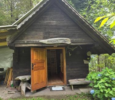 Kamnik Ski Chalet | Lisičja bajta