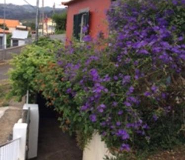 Arco da Calheta House | Little Norway in Madeira
