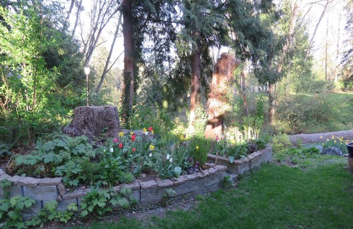 Langley Cottage | Little paradise in the forest. Close to Fort Langley.