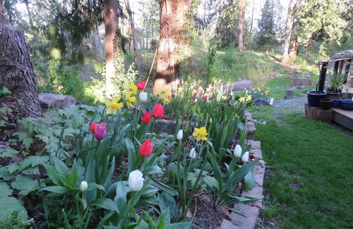Langley Cottage | Little paradise in the forest. Close to Fort Langley.