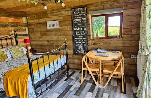 Widemouth Bay Apartment | Little Swelle Cabin with awesome Sea views