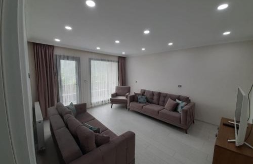 Uzungol Apartment | Liva Teras pansiyon