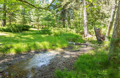Columbia Falls House | Living in the Past Log Home - Mins From Glacier!