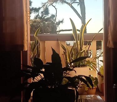 Jowai House | LKS Homestay, Jowai-By Soma Stays