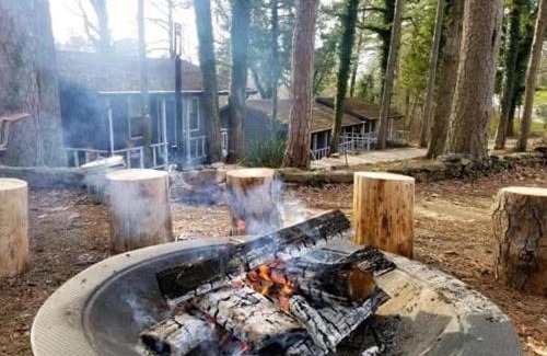 Eureka Springs House | Loblolly Pines Adventure Cabin 3 - King