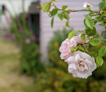 Fulmodeston House | Lobster Pot Cottage