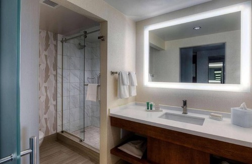 Downtown Apartment | Located in Norfolk, 7.2 miles from Norfolk Botanical Garden .
