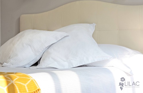 Del Carmen Apartment | Located In One Of The Oldest Streets Of The Historic Center Of Coyoacan