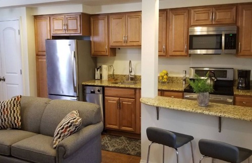 Water Hill Apartment | Location, Location! Downtown Luxury 1 Bedroom Apt