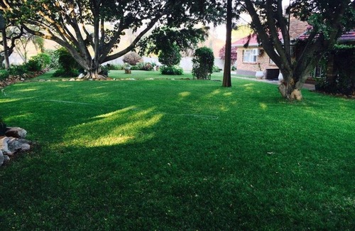 Bulawayo House | Lodumo Guesthouse B & B