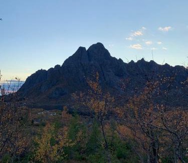 Vagan House | Lofoten- Feriehus Fjøsen