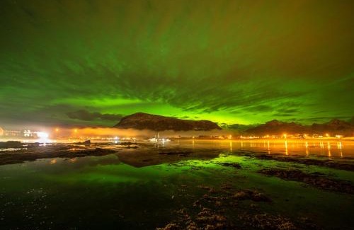 Vestvagøy Apartment | Lofoten rorbuutleie - Lilleeidet