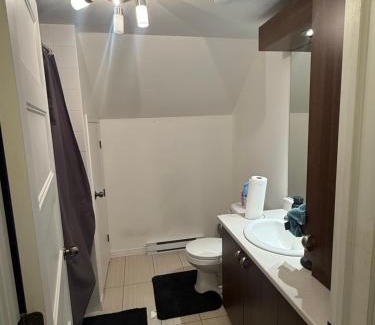 Laval Apartment | Loft Comfortable
