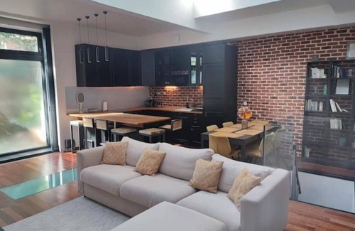 Combat Apartment | Loft Paris Centre Face au Parc des Buttes Chaumont