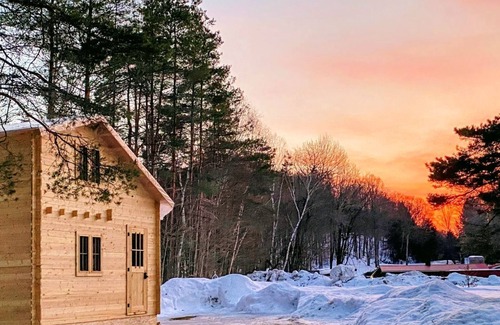 Weslemkoon Cabin | Loft Pine Cabin with Lake and Crown Land Access | Dog-Friendly