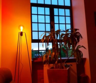 Lodz Apartment | Loft Suite