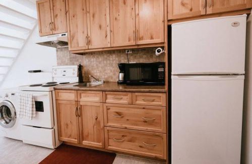 Nordic Estates Apartment | Lofted 1BR, Sleeps 4, Free parking, Walk to Lakes