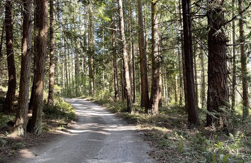 Camano Island Cabin | Log Cabin Island Retreat on 21 Tranquil Acres of Forest and Streams!