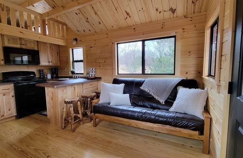 Northeast Michigan Cabin | Log Cabin Tiny Home Getaway on 22 acres