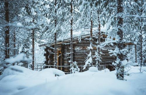 Rovaniemi House | Log Cabin with Private Sauna by Invisible Forest Lodge